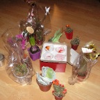 super soirée cactus chez Ericus le 19-01-2010 102